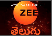 ZEE Telugu TV Serial Audition 2023