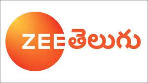 ZEE Telugu TV Serial Audition 2024?